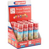 Bigpoint Premium Metal Tüpde Kuru Boya Kalemi 24 Renk - 12'li Set - Renkli - Standart