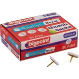 Bigpoint Renkli Beyaz Raptiye 10'lu Kutu 30 Adet PVC Kaplama Dayanıklı ve Oksitlenmez