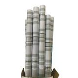 Bigpoint Yapışkanlı Folyo 2M Çizgili Desen No:100 X 12 Rulo