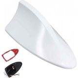 Bigs Honda Civic Fc5 2016-2021 Shark Balina Anten Beyaz