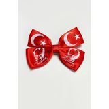 Bijuteri Net 23 Nisan 19 Mayıs Türk Bayraklı ve Atatürk Imzalı Fiyong Pens Toka