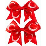 Bijuteri Net Ay Yıldız Fiyong Pens Toka 2 Adet