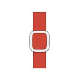 Bikordon Apple Watch Uyumlu 38/40/41 Mm Radius Loop Coral Deri Akıllı Saat Kordon - Bordo