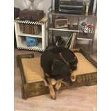 BİLBAO KÖPEK YATAĞI