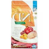 Bıldırcın Etli Balkabaklı Kedi Maması, 1.5 Kg Tahılsız Formül İle Besleyici