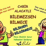 Bilemezsen Bilmece Bilirsen Bildirmece - Cabir Alacatlı
