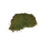 BİLEN ÇİÇEK TASARIM Doğal Kaya & Ağaç Yosunu 60x60cm Canlı Bitki Moss