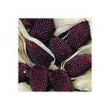 Bilgarden Strawberry Çilek Mısırı Tohumu (10 Tohum)