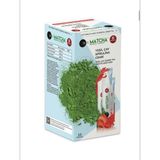 Bilge İlaç Çilek Aromalı Matcha Çayı 1 Kutu (8 gr x 20 Adet)