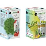Bilge İlaç Çilek ve Ananas Aromalı Detox Matcha Çayı (2 Kutu=40 Şase(Poşet)) - Bitki Çayı