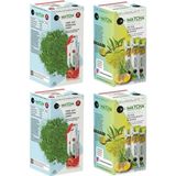 Bilge İlaç Çilek ve Ananas Aromalı Detox Matcha Çayı 4 Kutu=80 Şase (Poşet) - Bitki Çayı