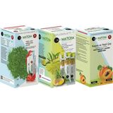 Bilge İlaç Çilek&Ananas ve Kayısı Aromalı Detox Matcha Çayı 3 Kutu=60 Şase (Poşet) - Bitki Çayı