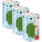 Bilge İlaç Matcha Premium Japanese 3 Kutu Matcha Tozu Çayı Maça Çayı 3 Paket