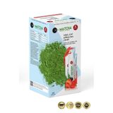Bilge İlaç Matcha Premium Japanese Macha Çayı Çilek Aromalı