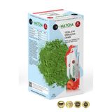 Bilge İlaç Matcha Premium Japanese Premium Japanese Çilek Aromalı Detox Burner Form Maça Çayı 1 Kutu