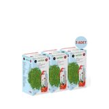 Bilge İlaç Matcha Premium Japanese Premium Japanese Çilek Aromalı Detox Burner Form Matcha Çayı 3 Kutu
