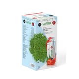 Bilge İlaç Matcha Premium Japanese Premium Japanese Toz Çilek Aromalı Çayı 20 X 10 G Premium Şase Orijinal Tozu
