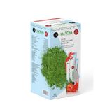 Bilge İlaç Matcha Premium Japanese Premium Japanese Toz Maça Çayı 20 X 8 G