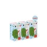 Bilge İlaç Matcha Premium Japanese Premium Japon Çayı 20 Adet 3 Kutu