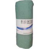 Bilgem Tekstil Pamuklu Penye Kumaşından Lastikli Çarşaf 120*200*30CM - 120 x 200 cm - Ceviz Yeşili