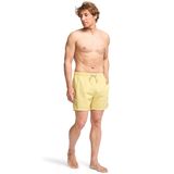 Billabong ALL DAY LB Sarı Erkek Şort Mayo