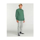 Billabong Arch CR Yeşil Erkek Sweatshirt