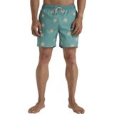 Bıllabong Billabong Vacay Lb Erkek Yeşil Volley Short Dut Mint