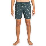 Billabong EBYJV00128 Yeşil Vacay Lb Erkek Deniz Şortu