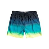 Billabong Erkek All Days Fade şort