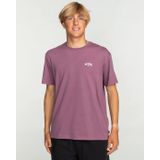 Billabong Erkek Arch Crew SS tişört (1'li paket)