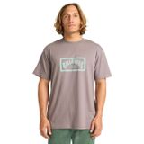Billabong Erkek Arch Frame SS Tişört (1'li Paket)