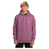 Billabong Erkek Arch Po kapüşonlu kazak (1'li paket)