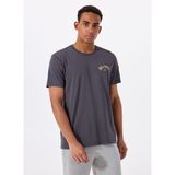 Billabong HACK PREMIUM WW SS 24A521521 Antrasit Erkek Regular Fit T-Shirt