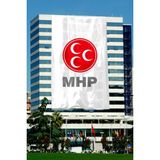 Bilsan Bayrak Mhp Parti Bayrağı 400X600 cm Raşel Kumaş Bina Tipi
