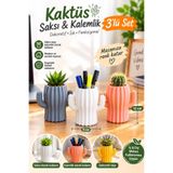 bimbambom Kaktüs Saksı, Sukulent Saksı, Plastik Saksı 3 adet mix