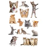 Bimotif Karışık 130 adet sevimli kediler, kedi figürlü notebook, tablet, telefon sticker seti (10 sayfa)