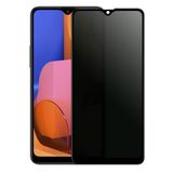 Binano Privacy Samsung A20S Ekran Koruyucu