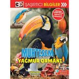 Binbir Göz Kitap 3D Şaşırtıcı Bilgiler - Muhteşem Yağmur Ormanı