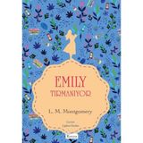 Binbir Göz Kitap Emily Tırmanıyor (Iı) - (Bez Ciltli)