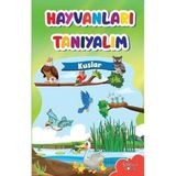 Binbir Göz Kitap Muhteşem Çizimler ve Kolay Anlatım ile Hayvanları Tanıyalım Kuşlar