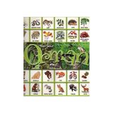 Binbir Göz Kitap Orman : Oku Yap Boz Oyna