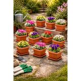 Binbirreyon 10 Adet Kare Saksı Tabaklı Terracota Saksı Seti 11x11x9cm 0,5Lt AH194