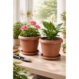 Binbirreyon 2 Adetli Terracotta Tabaklı Saksı 2,5Lt 20x17cm Çiçek Saksısı AH207