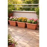 Binbirreyon 3 Adet Balkon Saksısı Teracotta Saksı 31CM 5lt Set AH090