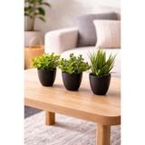 Binbirreyon 3 Adetli Saksılı Yapay Çiçek Çap:9cm ME152 - 001-Renkli