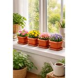 Binbirreyon 4 Adet Kare Terracotta Tabaklı Saksı 1lt 13X13X11CM Plastik AH105