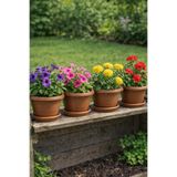 Binbirreyon 4 Adet Menekşe Saksı Tabaklı 14x8,5cm Terracotta Kahverengi Plastik AH201