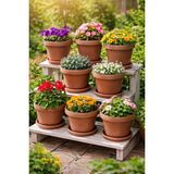 Binbirreyon 8 Adet Terracotta Antik Tabaklı Saksı Seti 1Lt 15x13,5cm Kahverengi Plastik AH202