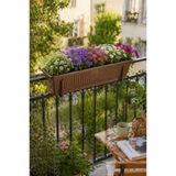 Binbirreyon Balkon Askılı Saksı 71cm Çift Askılı Balkon Demiri Saksısı Terracotta AH224Ü