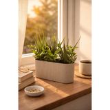 Binbirreyon Çizgili Saksılı Yapay Çiçek Aranjman Yeşil Yapraklı 17X16X6CM ME151 - Açık Kahverengi